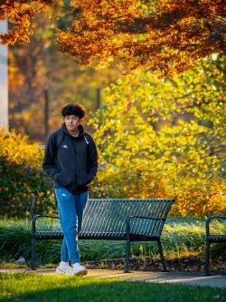 Student walking on path under vibrant fall foliage